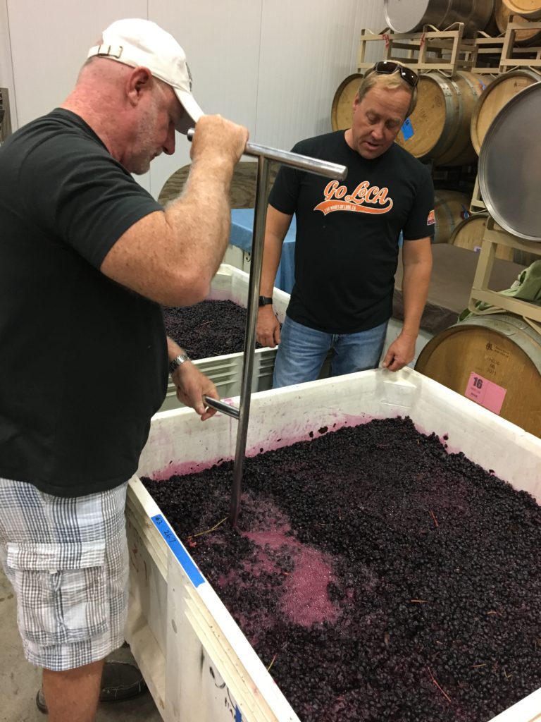 Punching the cap at Holdener Vineyards Winery